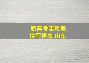 新高考志愿表填写样本 山东